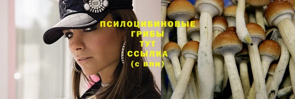 дмт Заволжье