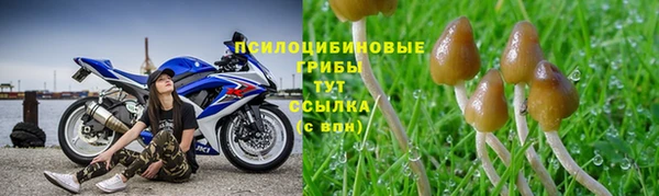 прущие крисы Заводоуковск