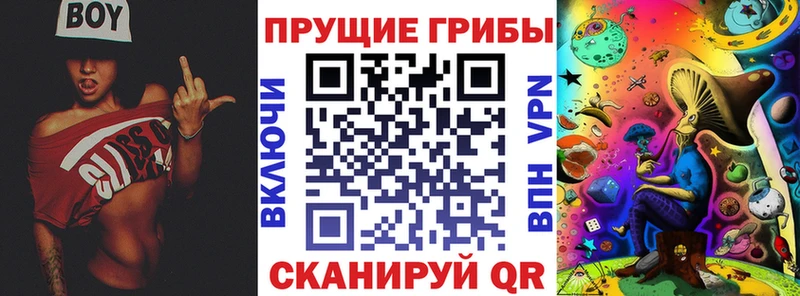 Псилоцибиновые грибы Magic Shrooms  Купить закладки  Петровск-Забайкальский 